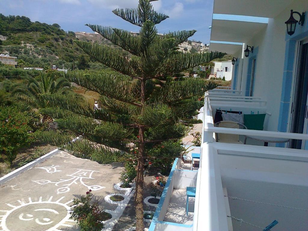 Dionysia Apartments Kéfalos Eksteriør bilde