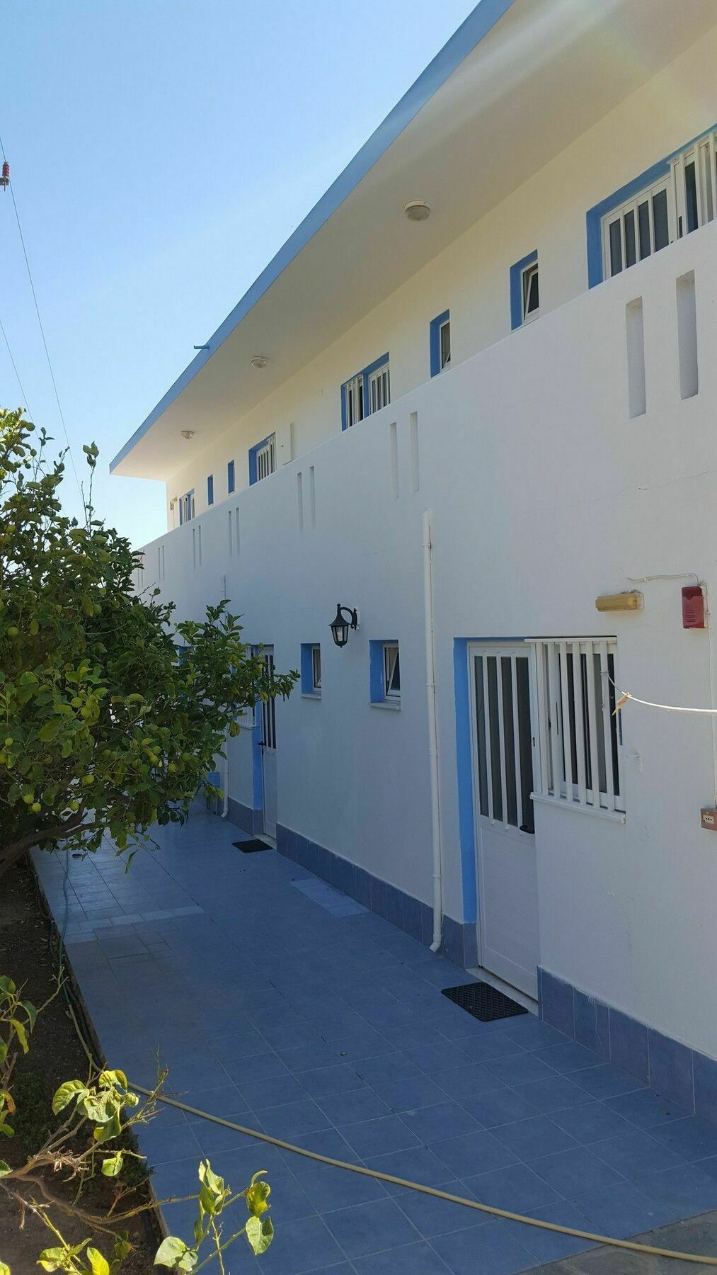 Dionysia Apartments Kéfalos Eksteriør bilde